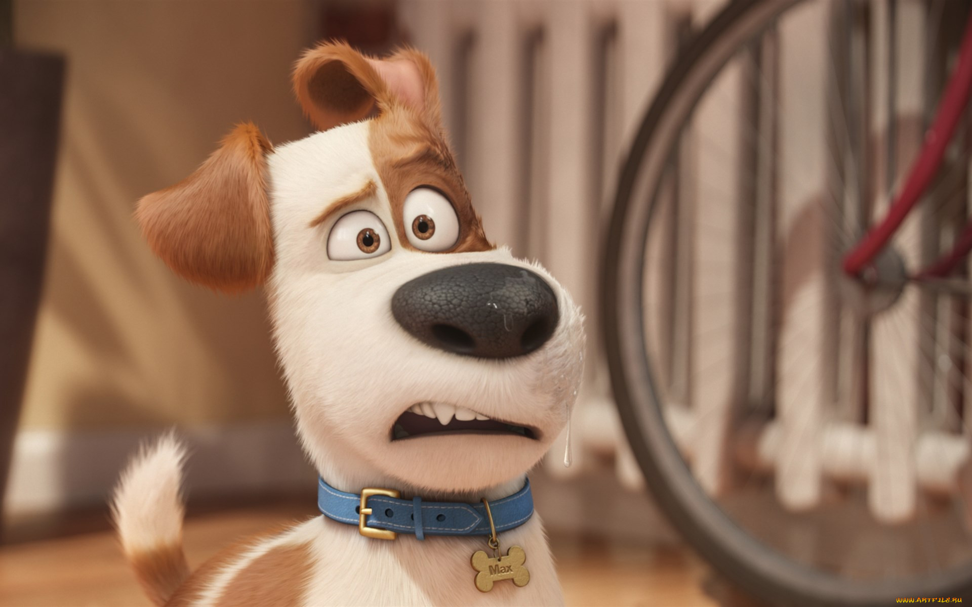 the secret life of pets, , 